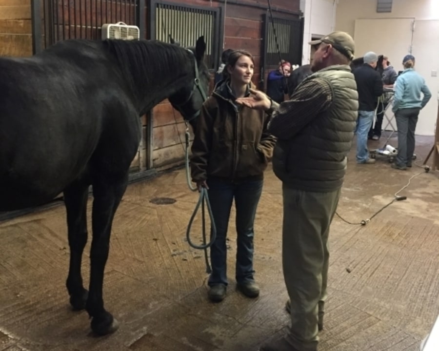 The Stillwater Equine Veterinary Clinic Treatment Bay